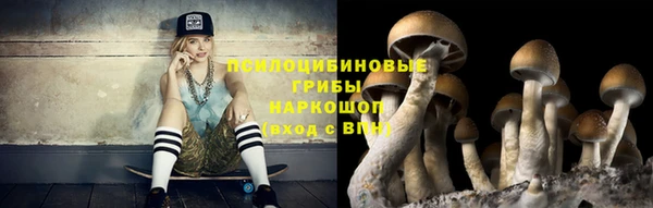 ГАЛЛЮЦИНОГЕННЫЕ ГРИБЫ Белокуриха