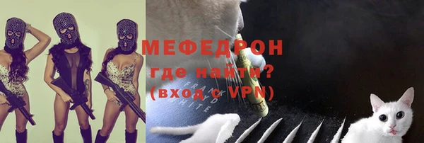 индика Сосновоборск