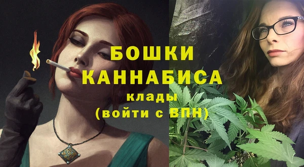 ГАЛЛЮЦИНОГЕННЫЕ ГРИБЫ Белокуриха