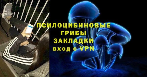 хмурый Балабаново