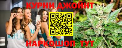 a pvp Гатчина