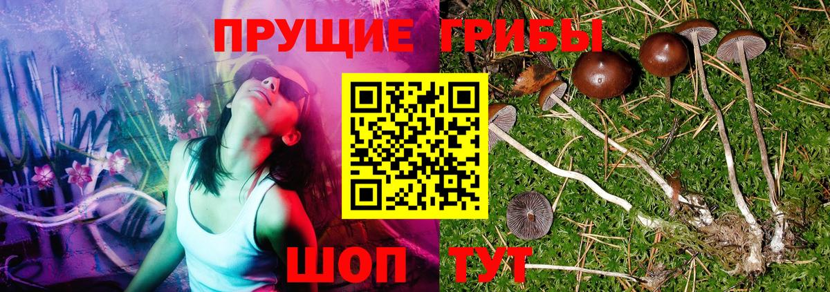 Псилоцибиновые грибы Magic Shrooms Валуйки
