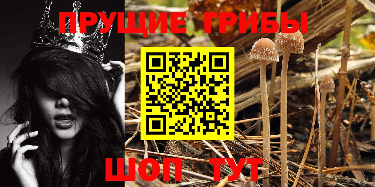 Валуйки  Галлюциногенные грибы GOLDEN TEACHER  Вход с VPN 